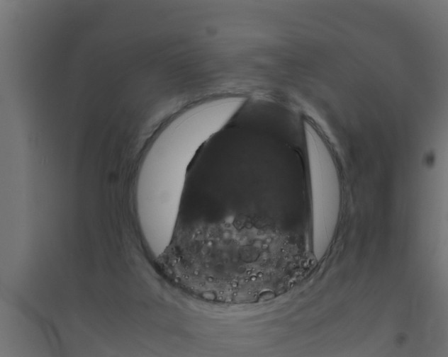 X0000094340019200711241902