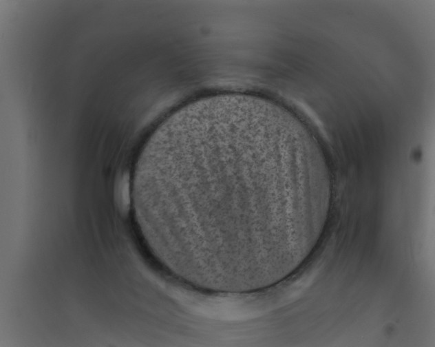 X0000094340020200711241902