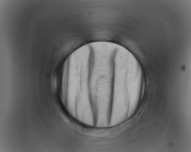 X0000094340021200711241902