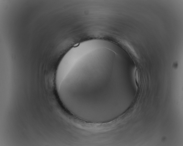 X0000094340023200711241902