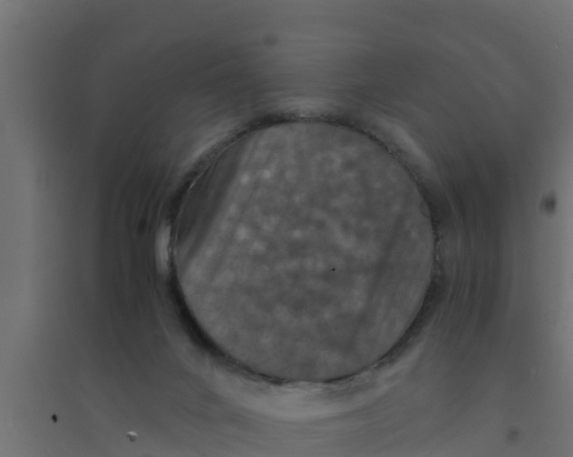 X0000094340024200711241902