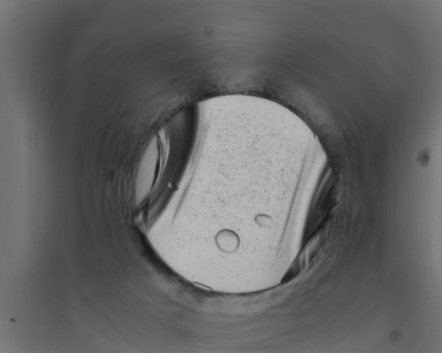 X0000094340025200711241902