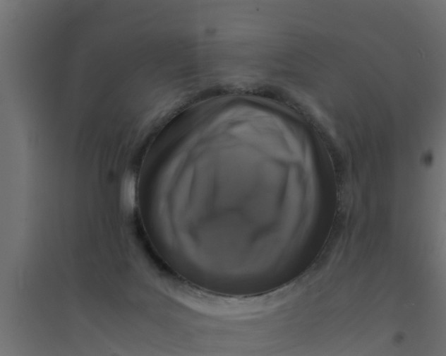 X0000094340027200711241902