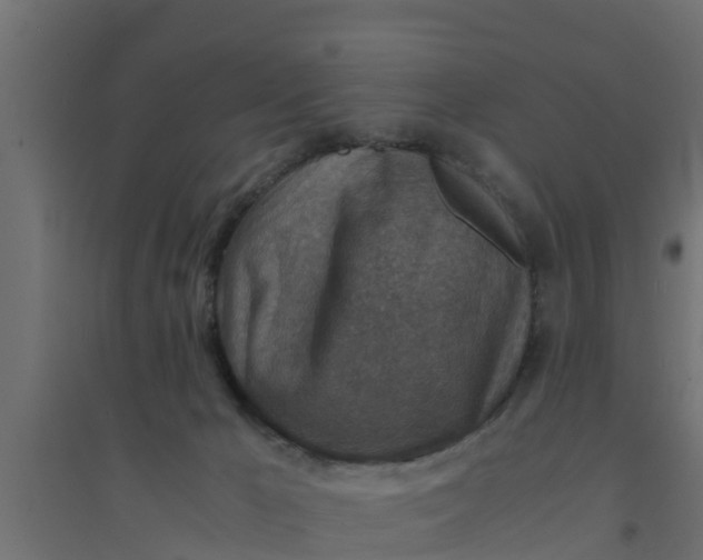 X0000094340029200711241902