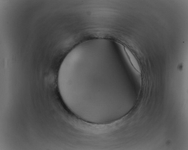 X0000094340031200711241902