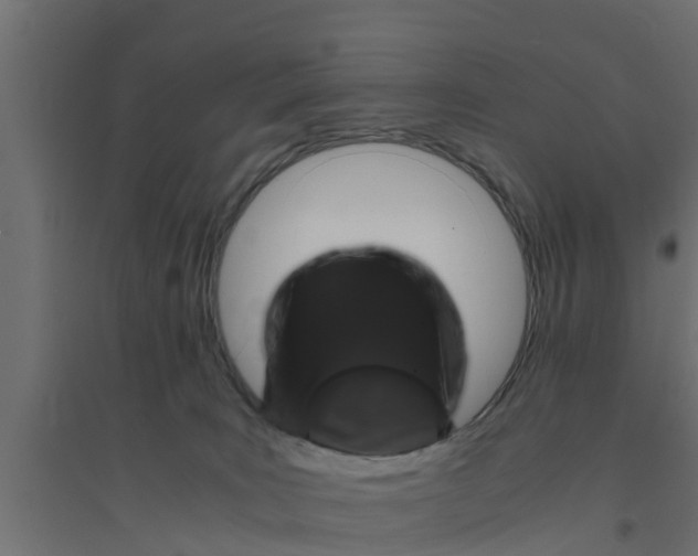 X0000094340035200711241902