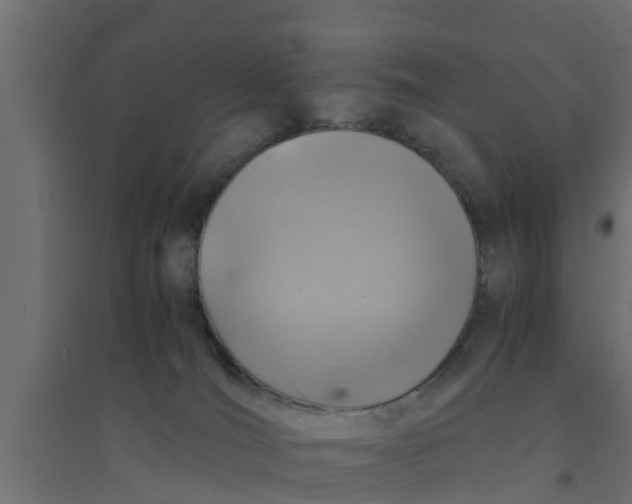 X0000094340036200711241902