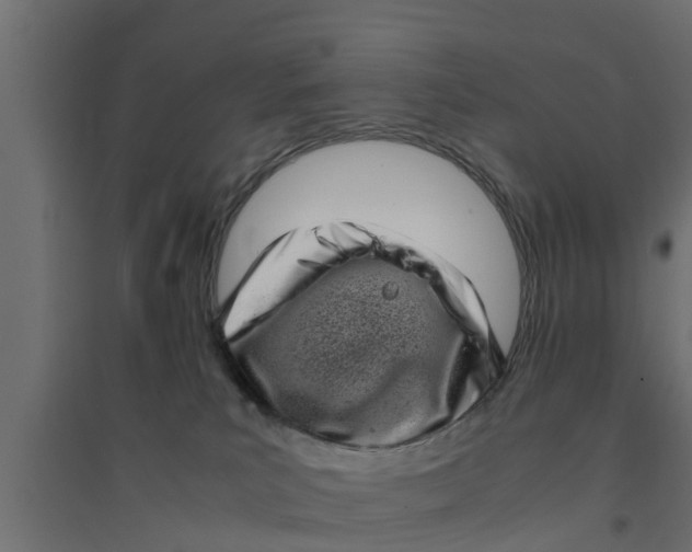 X0000094340039200711241902