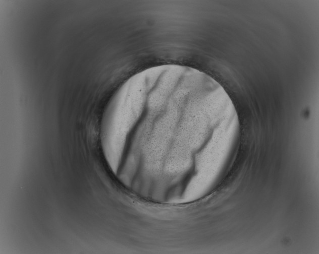 X0000094340040200711241902