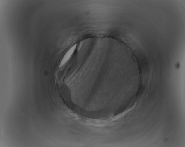 X0000094340041200711241902