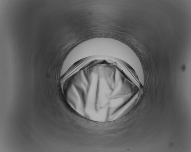 X0000094340043200711241902