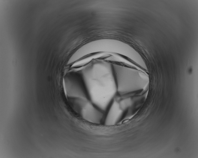 X0000094340044200711241902