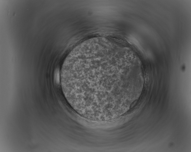 X0000094340046200711241902