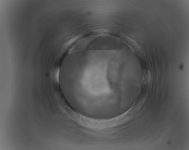 X0000094340047200711241902