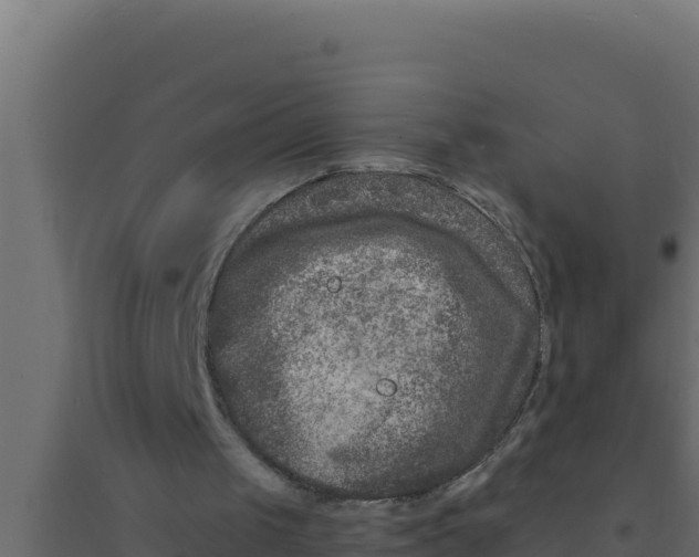 X0000094340049200711241901