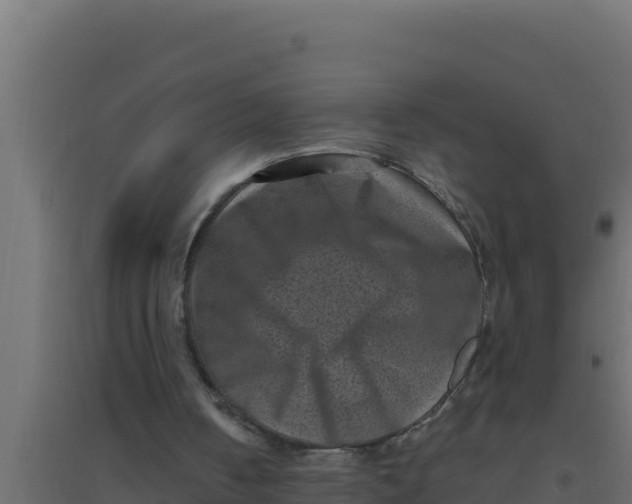 X0000094340050200711241901