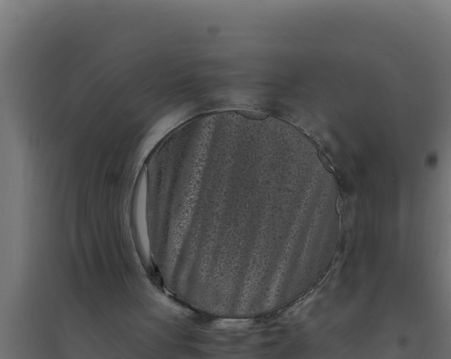 X0000094340051200711241901