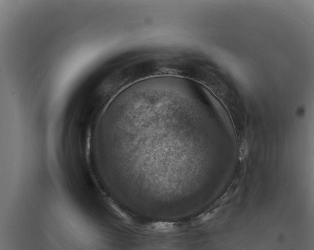 X0000094340052200711241901