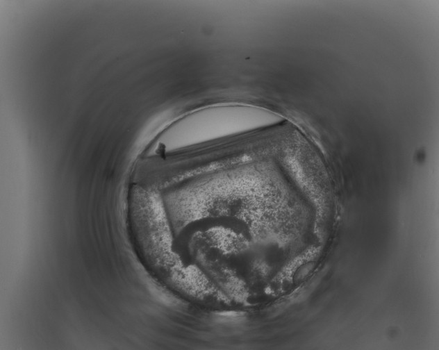 X0000094340053200711241901