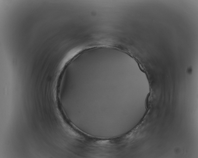 X0000094340054200711241901