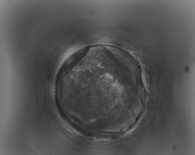 X0000094340056200711241901