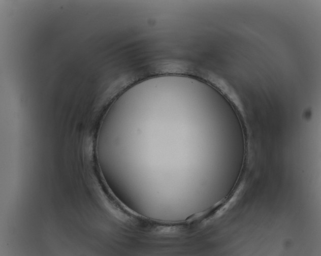 X0000094340057200711241901