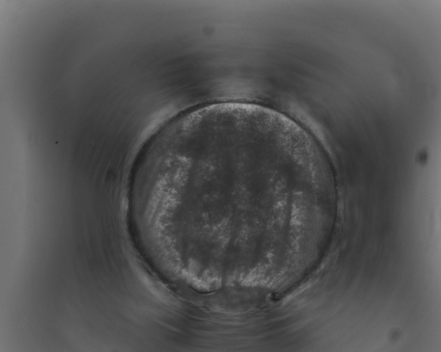 X0000094340059200711241901