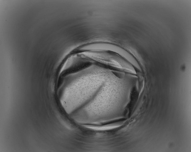 X0000094340060200711241902