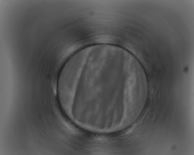 X0000094340062200711241902