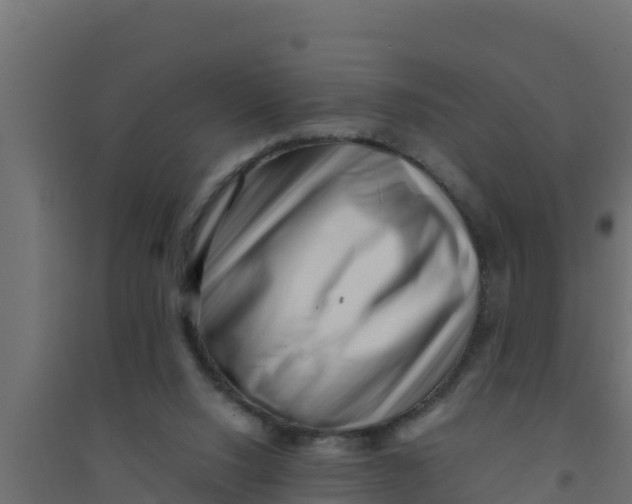 X0000094340064200711241902