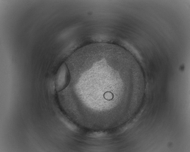 X0000094340065200711241902