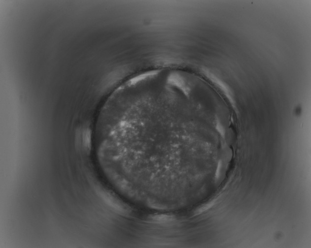 X0000094340067200711241902