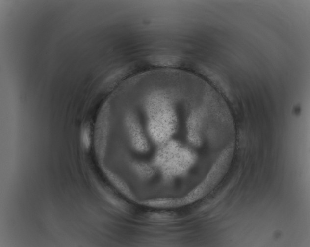 X0000094340069200711241902