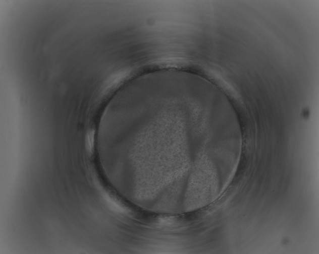 X0000094340070200711241902