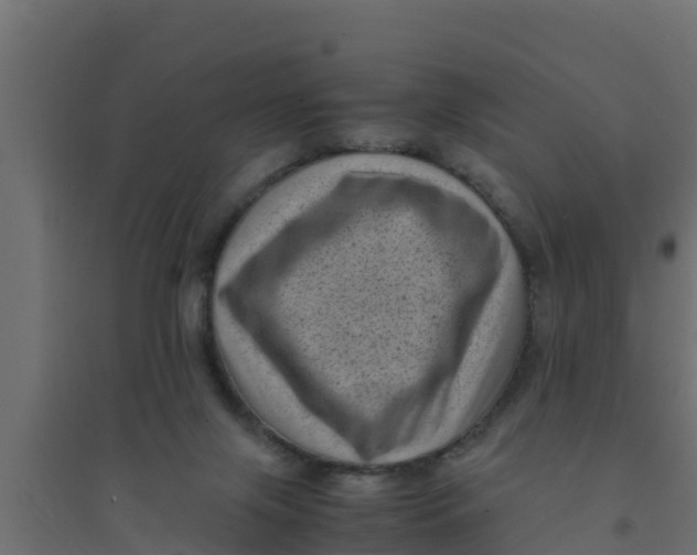 X0000094340071200711241902