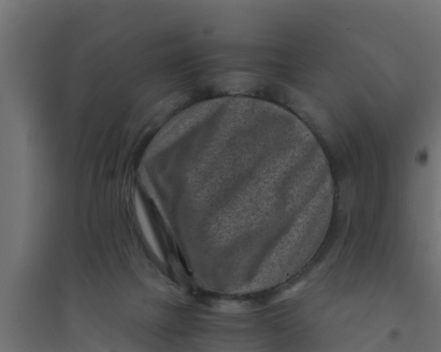 X0000094340073200711241902