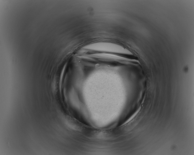 X0000094340074200711241902