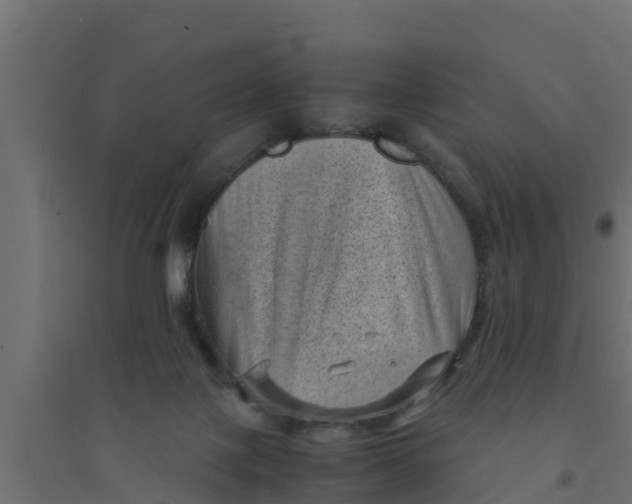 X0000094340075200711241902