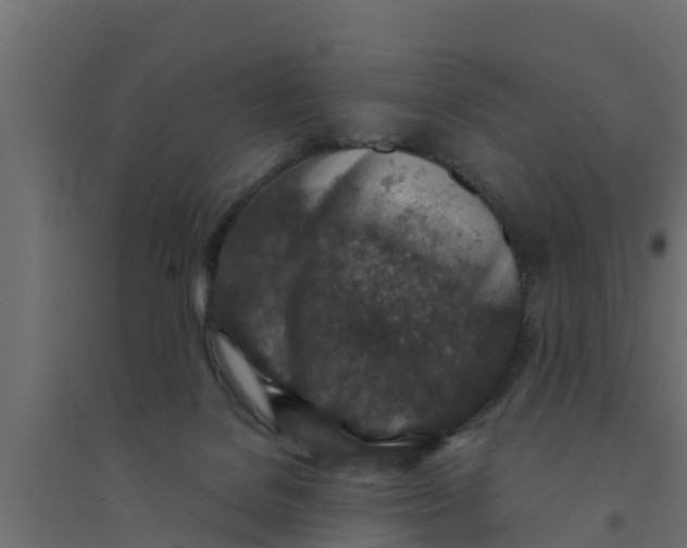 X0000094340076200711241902