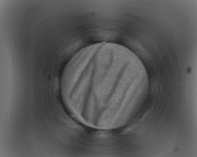 X0000094340077200711241902