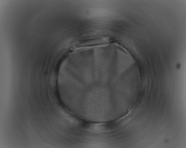 X0000094340078200711241902