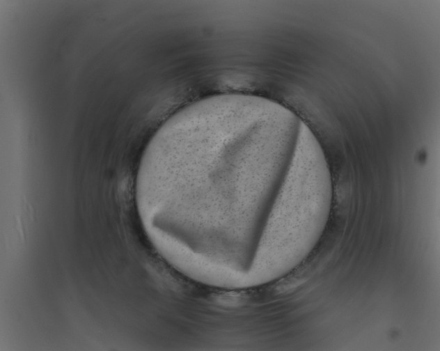 X0000094340079200711241902