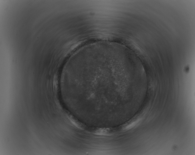 X0000094340080200711241902