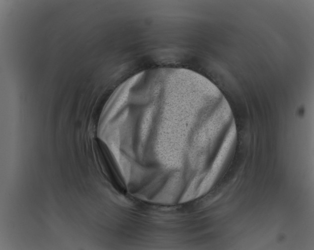 X0000094340081200711241902