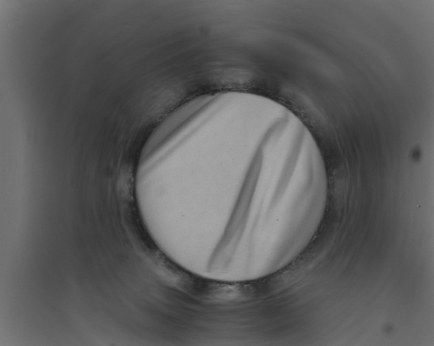 X0000094340083200711241902