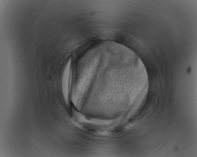 X0000094340084200711241902