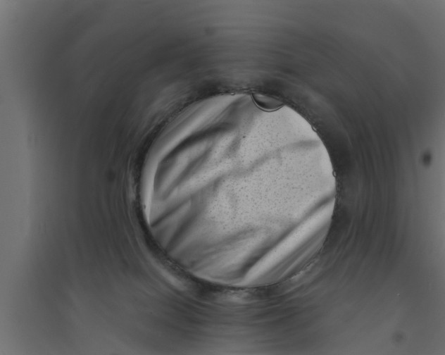 X0000094340086200711241902