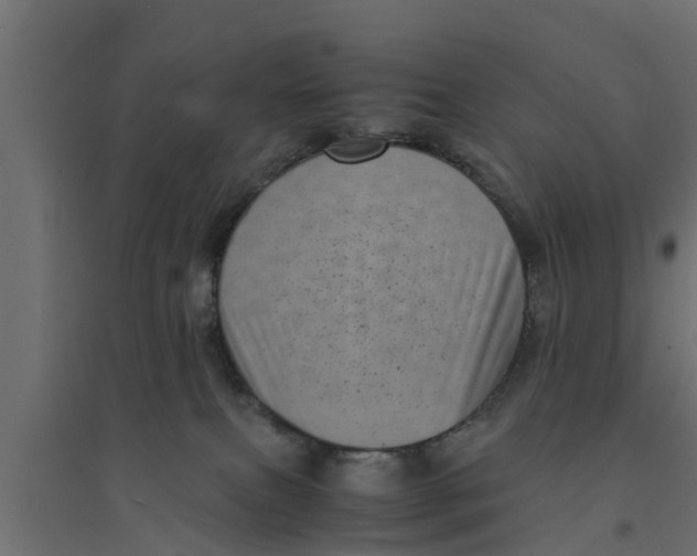 X0000094340087200711241902