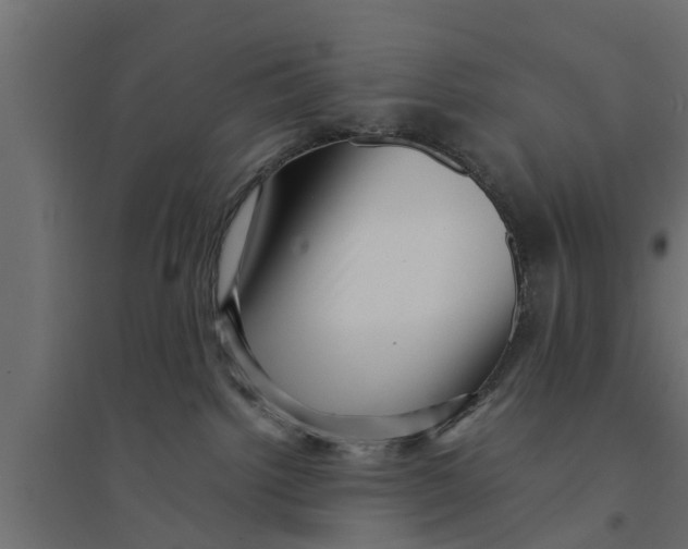 X0000094340092200711241902