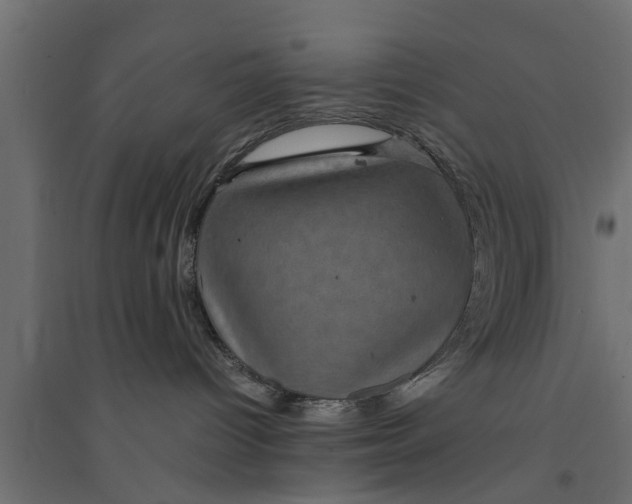 X0000094340096200711241902